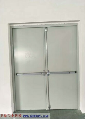 Steel insulated fire door